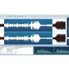 ACON DIGITAL Acon Acoustica Standard