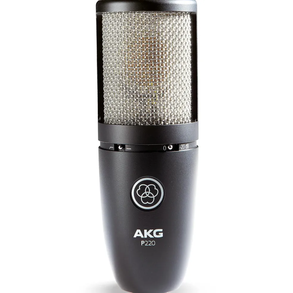 AKG P220 Project Studio Condenser Microphone