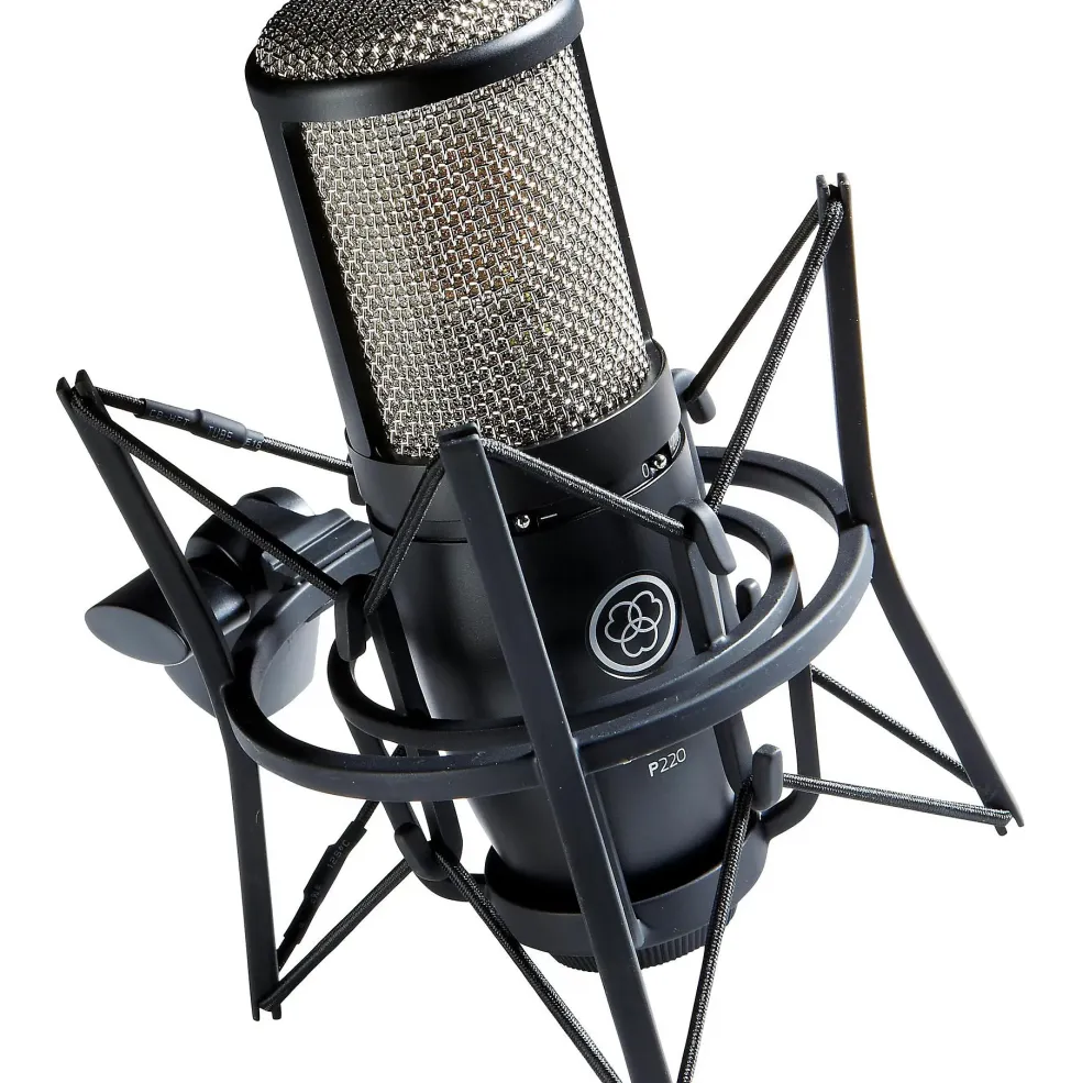 AKG P220 Project Studio Condenser Microphone