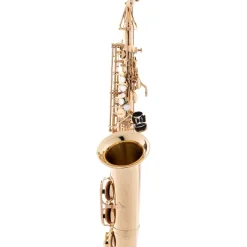 Allora AAS-250 Student Series Alto Saxophone Lacquer
