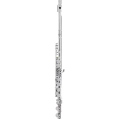 Allora AFL-250 Student Series Flute Offset G C-Foot