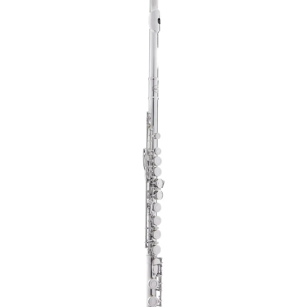 Allora AFL-250 Student Series Flute Offset G C-Foot
