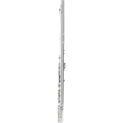 Allora AFL-250 Student Series Flute Offset G C-Foot