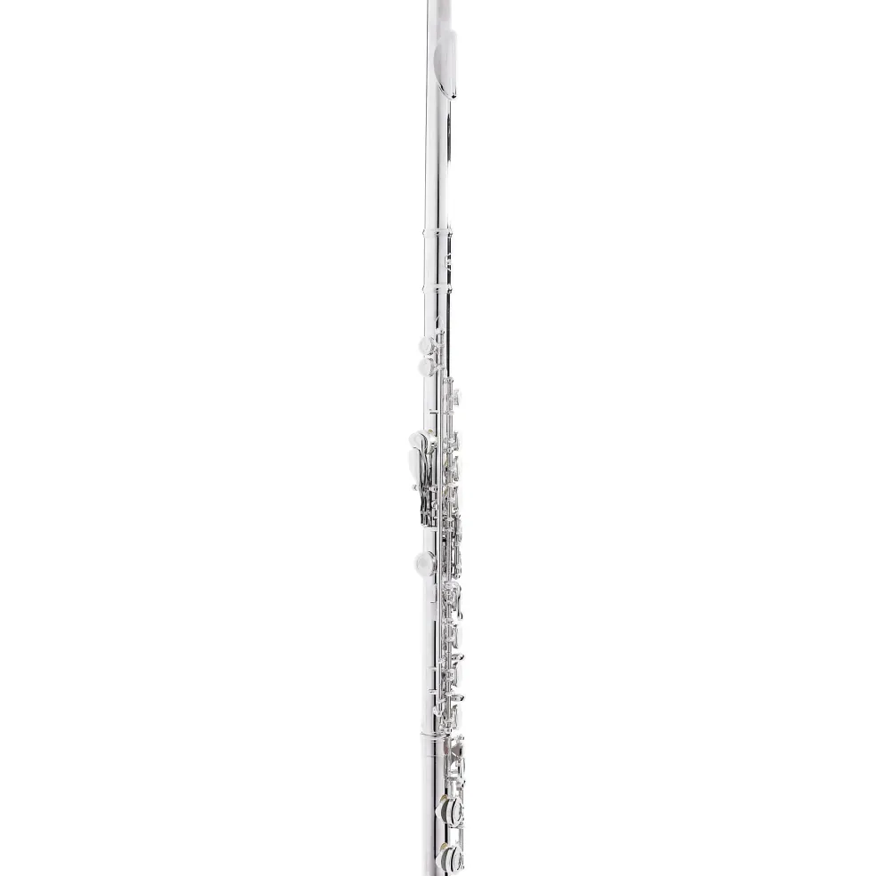 Allora AFL-250 Student Series Flute Offset G C-Foot