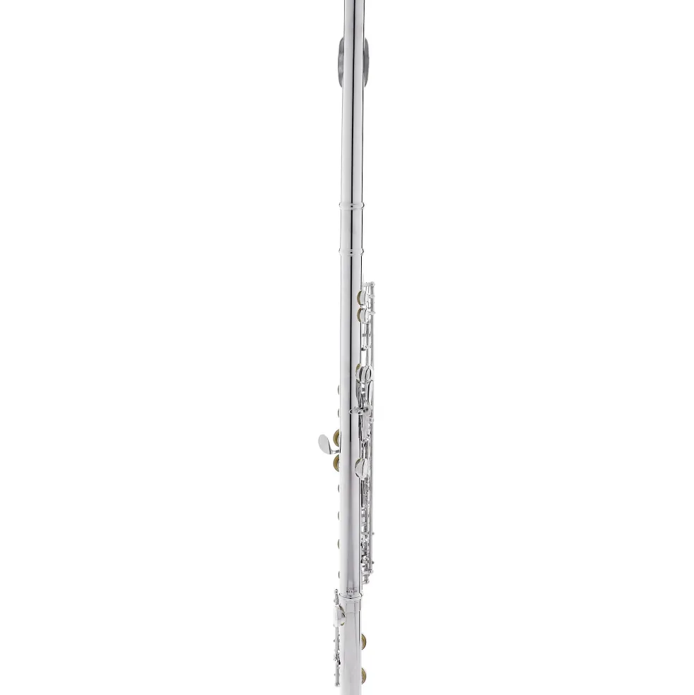 Allora AFL-250 Student Series Flute Offset G C-Foot