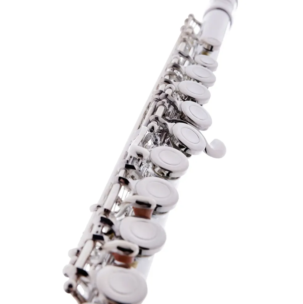 Allora AFL-250 Student Series Flute Offset G C-Foot