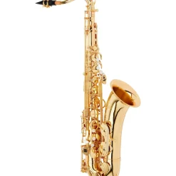 Allora Play It Again Deluxe Tenor Saxophone Kit
