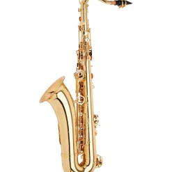 Allora Play It Again Deluxe Tenor Saxophone Kit