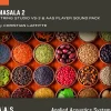 Applied Acoustics Systems Masala 2 - Sound Pack for String Studio VS-3