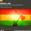 Applied Acoustics Systems Tropical Jam - Sound Pack for Strum GS-2