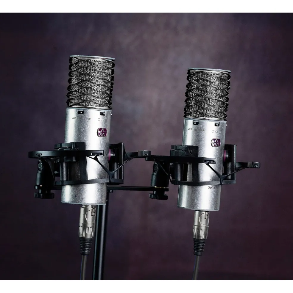 Aston Microphones SPIRIT STEREO PAIR - 2 High-performance, switchable pattern, large diaphragm condenser microphone