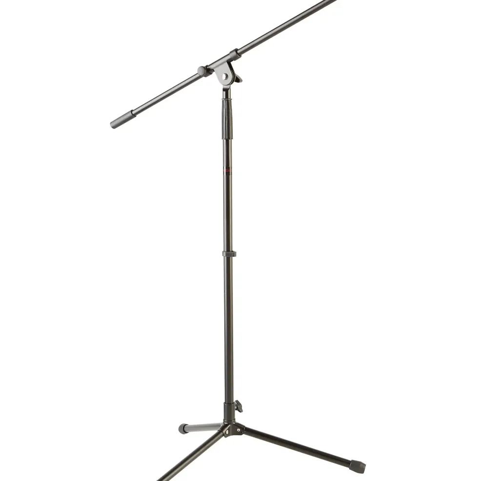 Audix i5 Mic With Cable and Stand