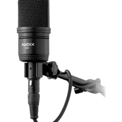 Audix Pair of Audix A131 Large-diaphragm Condenser Microphone