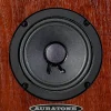Auratone 5C Super Sound Cube 4.5 inch Passive Reference Monitor (each) - Mahogany
