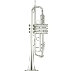 Bach 190 Stradivarius 65 Bell Dual Bore Series Professional Bb Trumpet Silver plated Gold Brass Bell