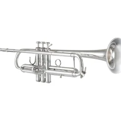 Bach 170 Stradivarius 43 Bell Series Professional Bb Trumpet with Standard Leapipe Silver plated