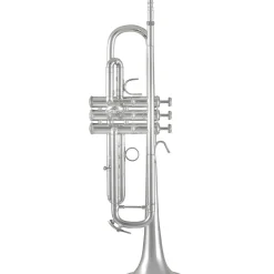 Bach 170 Stradivarius 43 Bell Series Professional Bb Trumpet with Standard Leapipe Silver plated