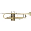 Bach 190 Stradivarius 37 Bell Medium Plus Bore Series Unlacquered Professional Bb Trumpet Unlacquered