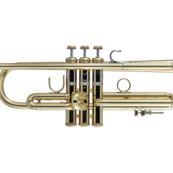 Bach 190 Stradivarius 37 Bell Medium Plus Bore Series Unlacquered Professional Bb Trumpet Unlacquered