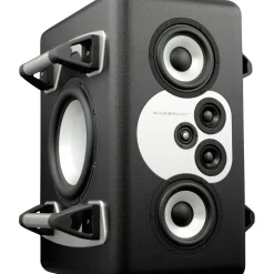 Barefoot Sound MiniMain12 12