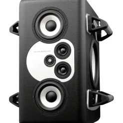 Barefoot Sound MiniMain12 12