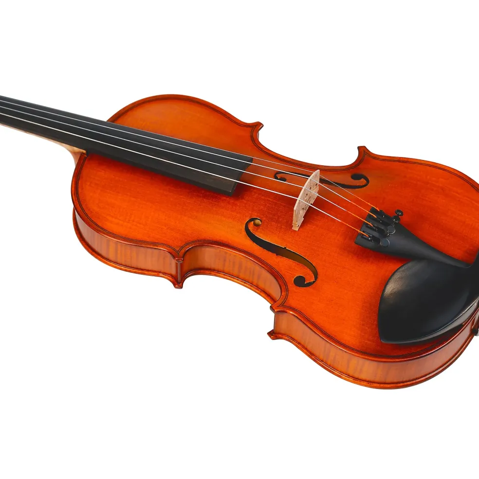 Bellafina Violin Outfit Domenico Model Oblong Case/Brazilwood Bow 4/4