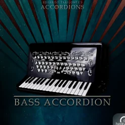 Best Service Accordions 2 - Single Bass Accordion