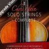 Best Service Chris Hein Solo Strings Complete Upgrade from Violin