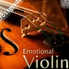 Best Service Emotional Violin Crossgrade