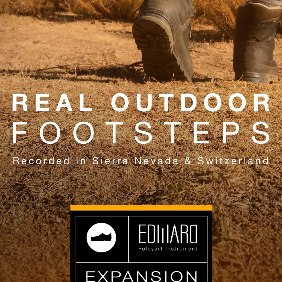 Best Service Real Outdoor Footsteps: EFI Expansion