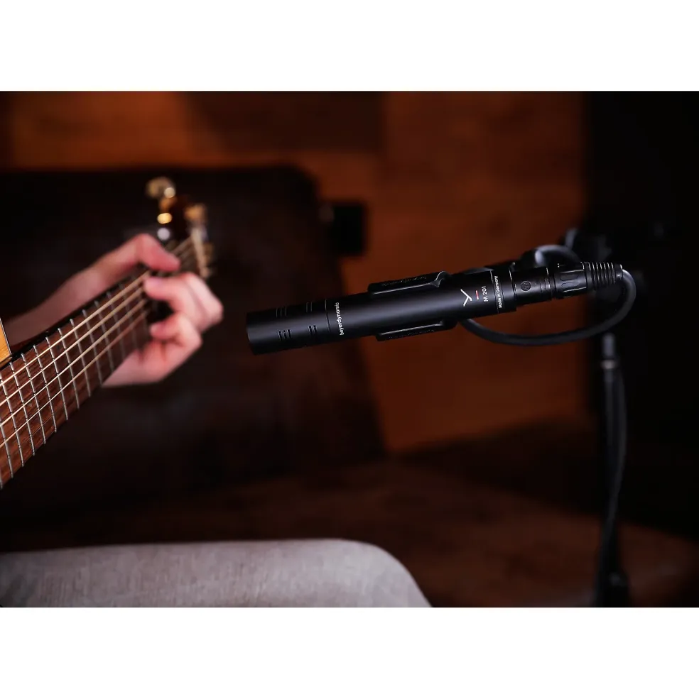 beyerdynamic M 201 Dynamic Moving-Coil Microphone (Hypercardioid)