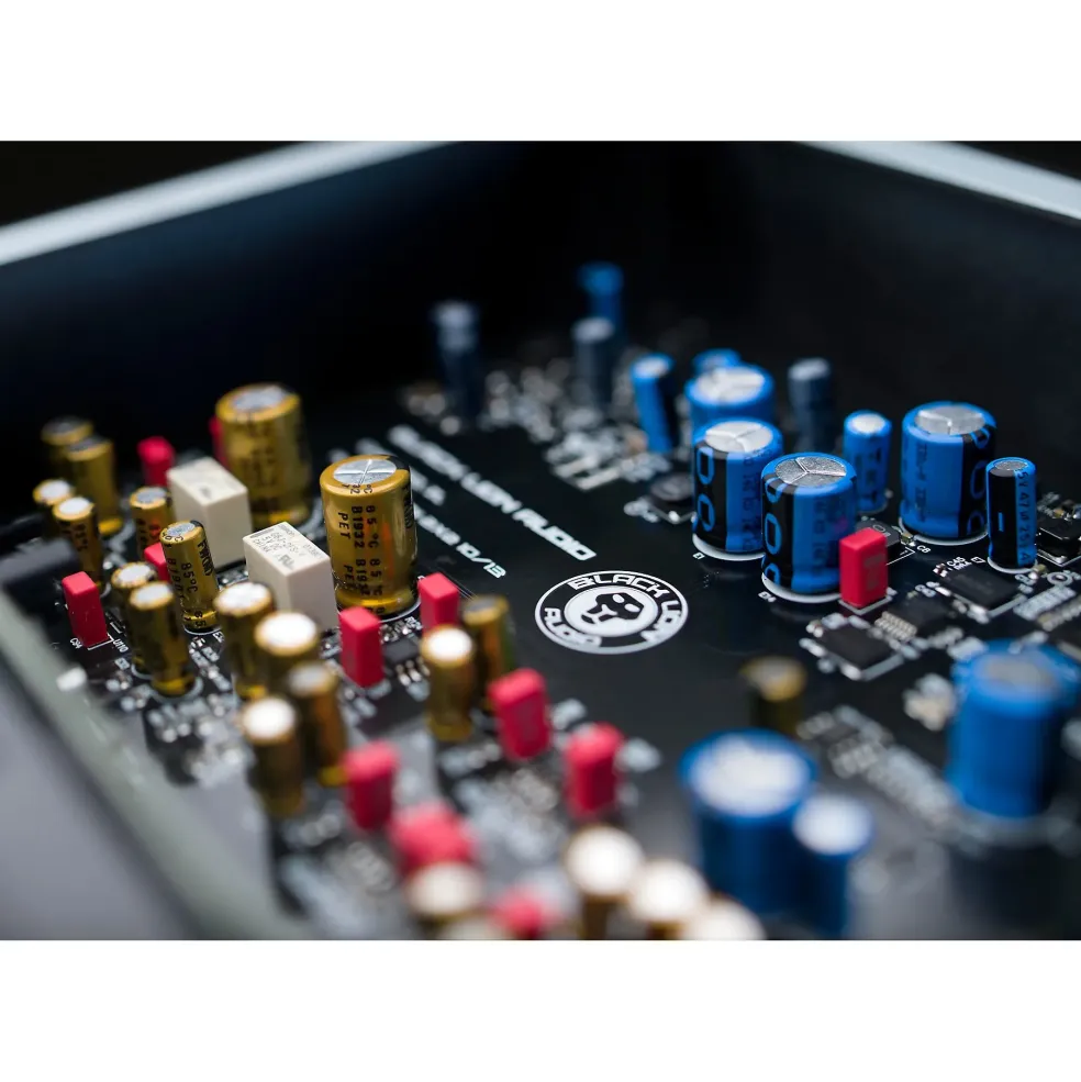 Black Lion Audio REVOLUTION 2 x 2 USB-C Audio Interface