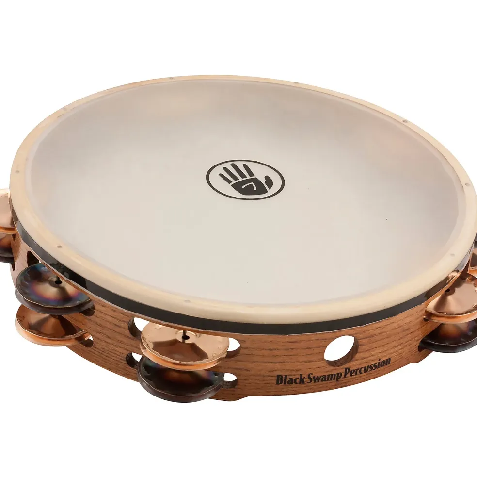 Black Swamp Percussion SoundArt Series Double Row 10" Tambourine with Remo Head 10 in. Chromium/Bronze