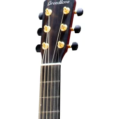 Breedlove Oregon All Myrtlewood Cutaway Concertina Acoustic-Electric Guitar Old Fashioned