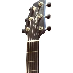 Breedlove Oregon Concert Thinline Myrtlewood Cutaway Acoustic-Electric Guitar Stormy Night