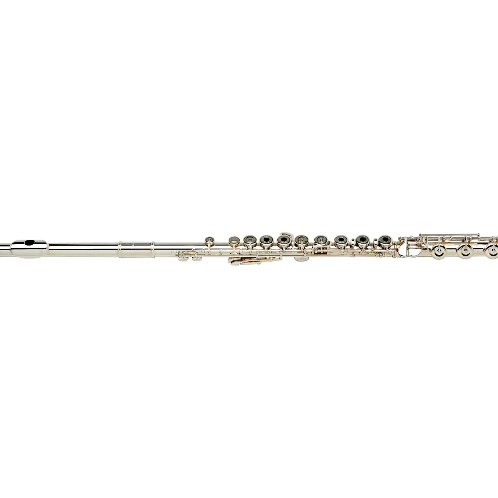 Buffet Crampon Divine Bb Professional Clarinet Bb Soprano clarinet