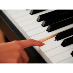 Casio AP-550BN Celviano Console Digital Piano Rosewood