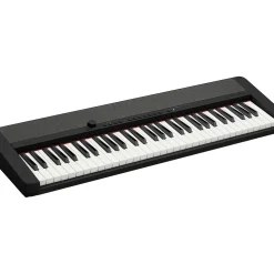 Casio Casiotone CT-S1 61-Key Portable Keyboard Black