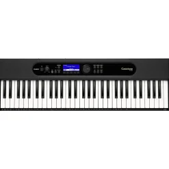 Casio Casiotone CT-S410 61-Key Portable Keyboard