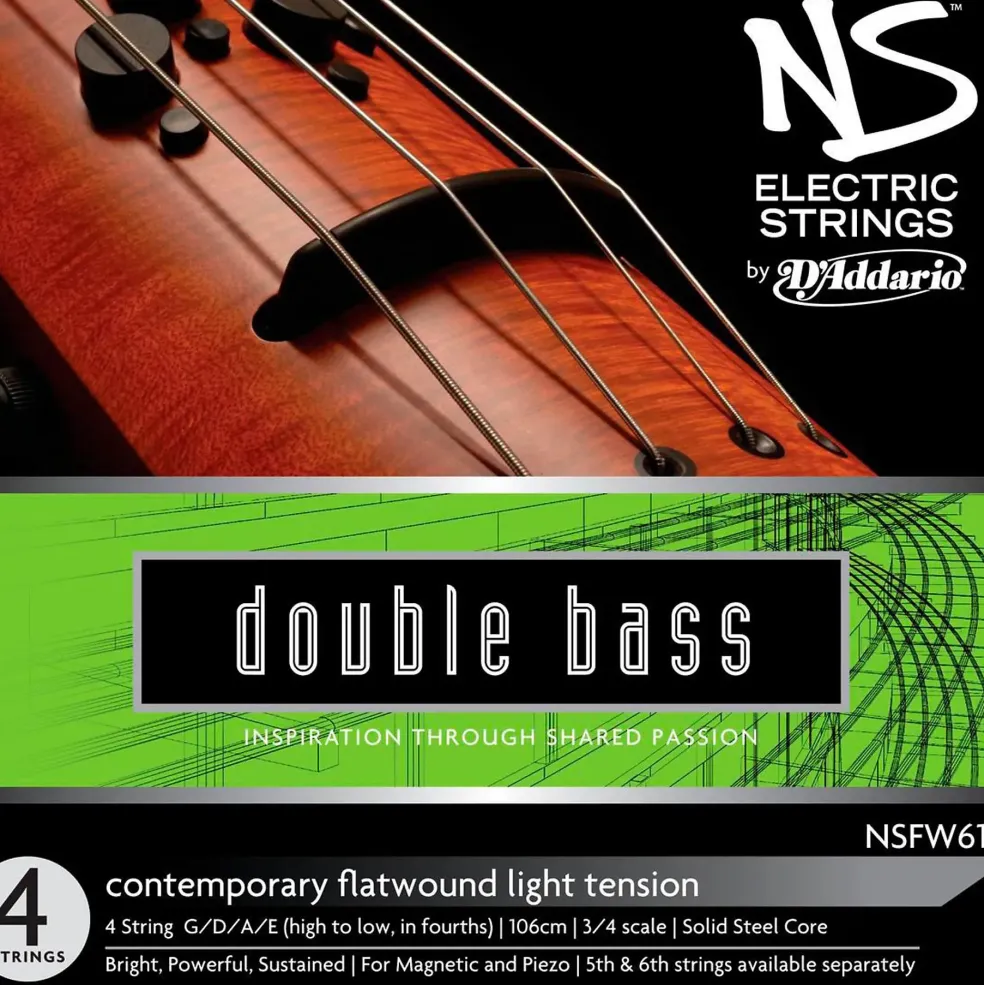 D'Addario NS Electric Contemporary Bass String Set
