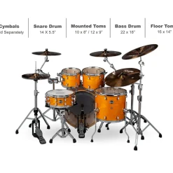 ddrum Dominion Birch 5-Piece Shell Pack With Ash Veneer Gloss Natural