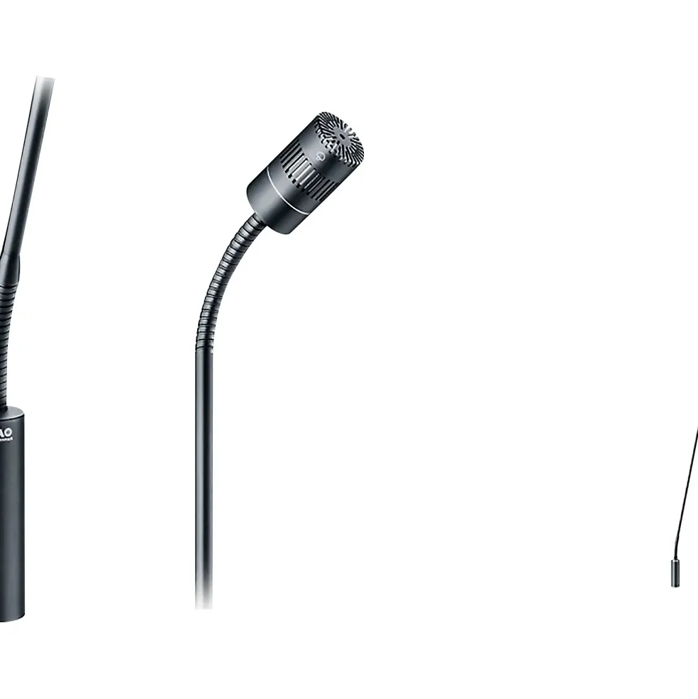 DPA Microphones 4018 Supercardioid Mic, Black, XLR, 47 cm (18 in) Boom, Top and Bottom Gooseneck