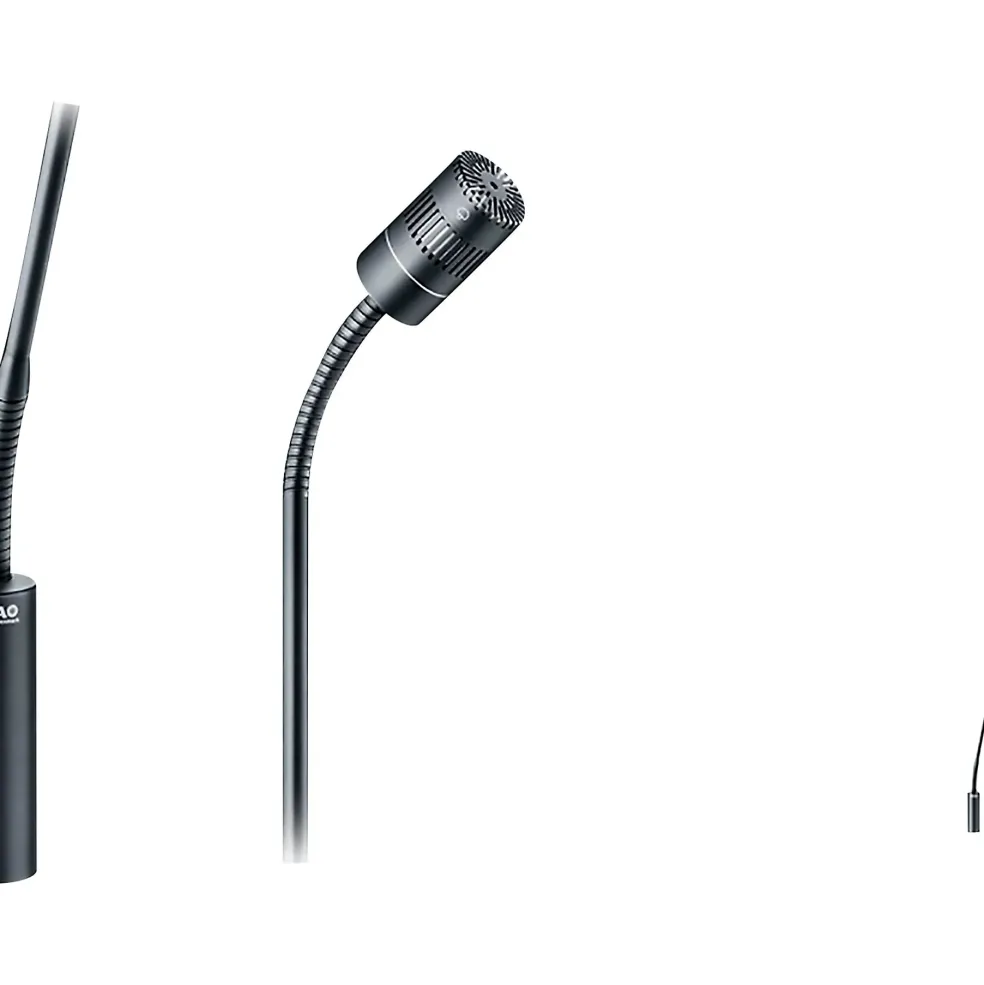 DPA Microphones 4018 Supercardioid Mic, Black, XLR, 32 cm (13 in) Boom, Top and Bottom Gooseneck