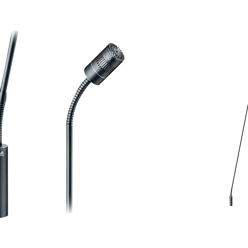 DPA Microphones 4018 Supercardioid Mic, Black, XLR, 77 cm (30 in) Boom, Top and Bottom Gooseneck