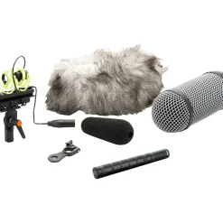 DPA Microphones d:dicate 4017C Compact Shotgun Microphone with Ryocote Windshield