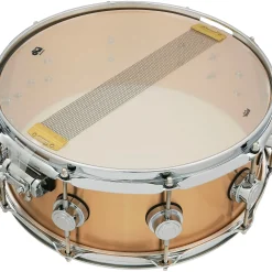 DW Collector's Series 3 mm Brushed Bronze Snare Drum 14 x 5.5 in.
