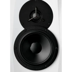 Dynaudio Acoustics LYD 5 5" Powered Studio Monitor (Each), White