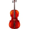 Eastman Andreas Eastman VC305 Series+ Cello Outfit With Case and Bow 4/4