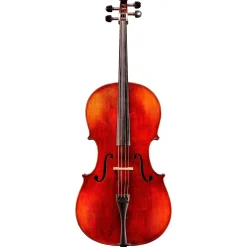 Eastman Andreas Eastman VC305 Series+ Cello Outfit With Case and Bow 4/4