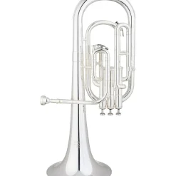 Eastman EAH301 Series Eb Alto Horn Silver